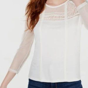 NWT American Rag 3/4 Sleeve Lacy Top Blouse in Egret Off-White, Size S